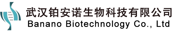 武汉铂安诺生物科技有限公司